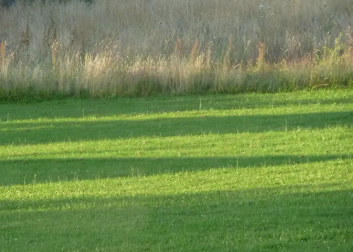 Les Bruyeres Du Mont 3* Céaux