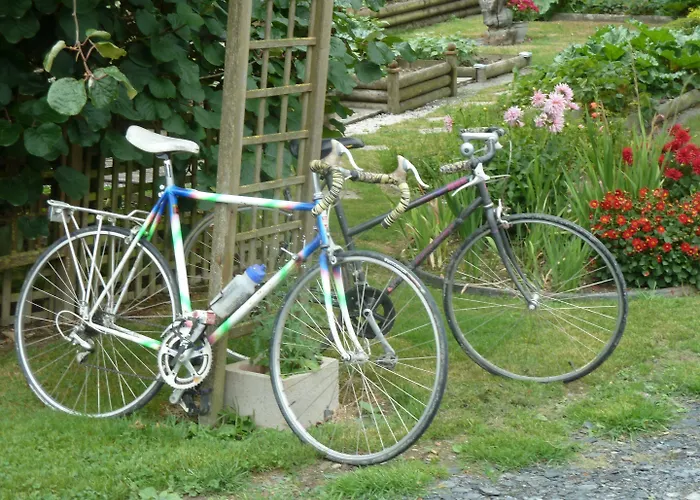 Les Bruyeres Du Mont 3* Céaux