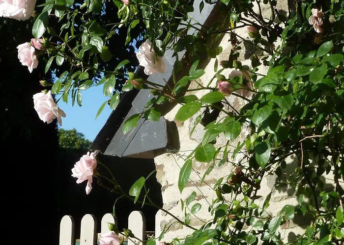 Les Bruyeres Du Mont 3*