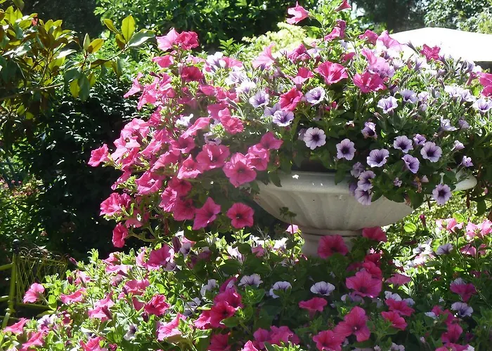 Les Bruyeres Du Mont Casa de hóspedes 3*