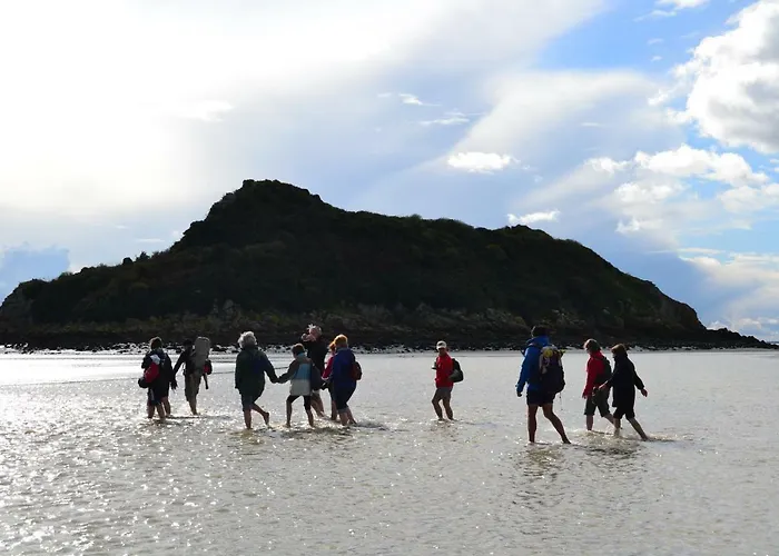 Les Bruyeres Du Mont