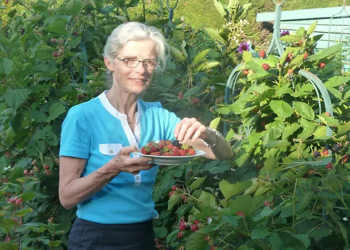 Les Bruyeres Du Mont Casa de hóspedes 3*